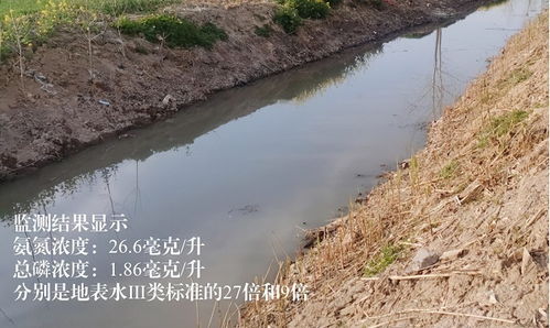 江苏淮安部分区县污水收集处理不到位水环境问题突出