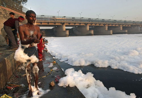 白色泡沫污染印度亚穆纳河 似积雪覆盖