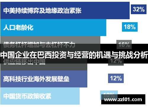 中国企业在巴西投资与经营的机遇与挑战分析